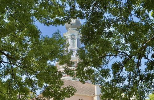 Friesenhus - Jever - Foto 56