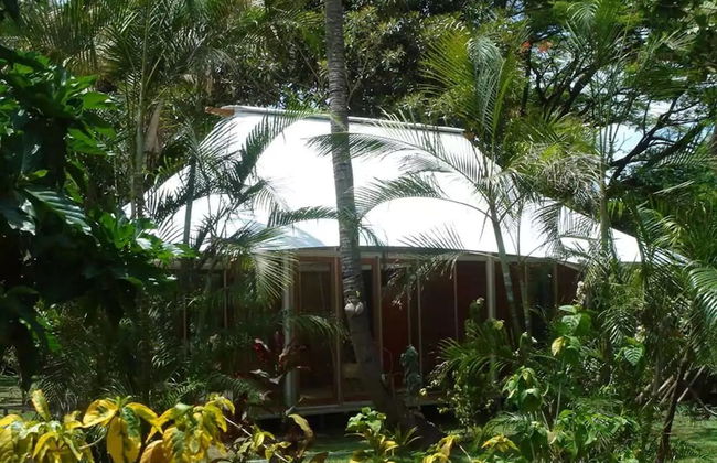 The Fiji Orchid - Foto 6