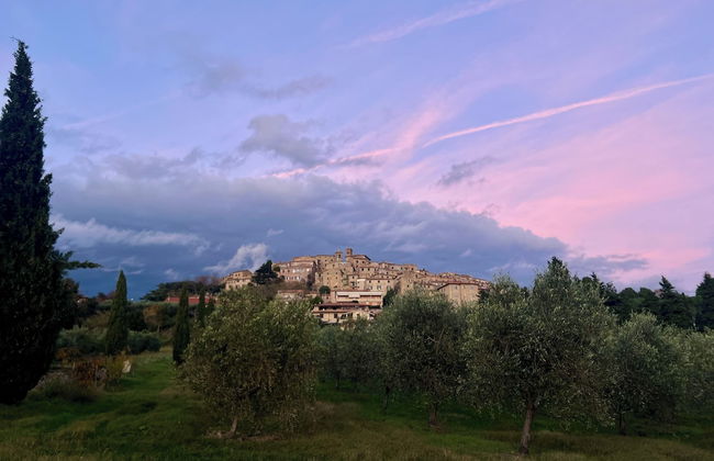 Fattoria Podere i Luoghi - Foto 75