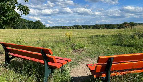 TOP-Ferienwohnung bei Berlin, bis 3 Gäste, Terrasse und Garten - Foto 2