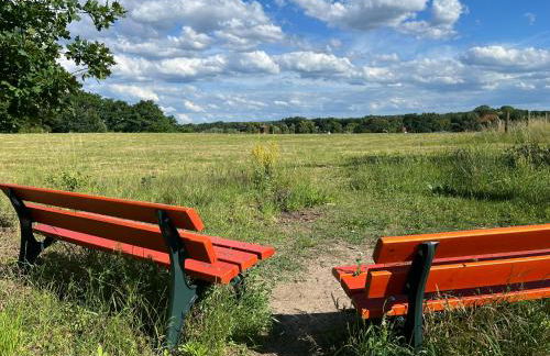 TOP-Ferienwohnung bei Berlin, bis 3 Gäste, Terrasse und Garten - Foto 2