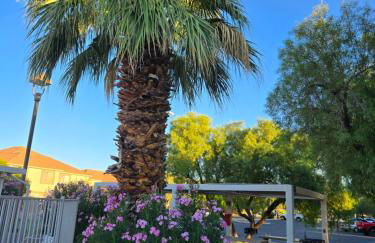 Nevada Mesquite Vacation Rentals - Foto 6