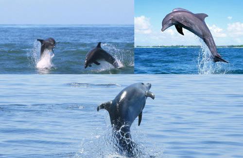 Quinta D'Avó - Foto 60