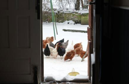 Landzeit Niedergräfenhain - Foto 10