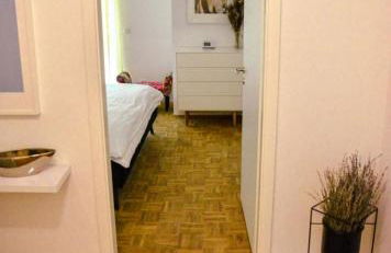 StellaStudio - Foto 2