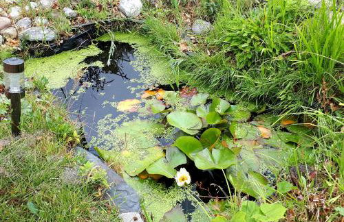 East Wing Apartment in Elgin - Foto 13