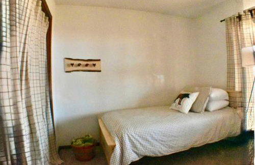 Paws at the Peak - Foto 7