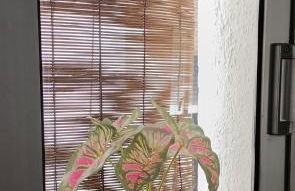 Apartamento turístico "Mi casina" AT-CC-00782 - Foto 30