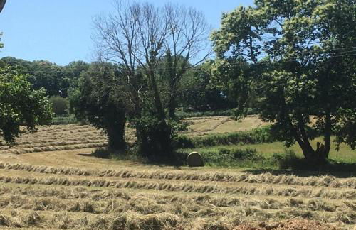 Le Tarde - Crécerelle - Photo 19