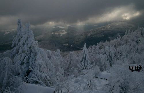 La casa di Alba-Salomé - Foto 39