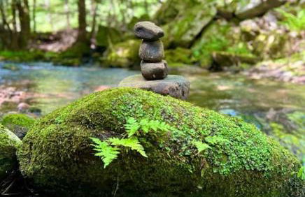 Gemütliches Apartment am Kurhaus in Dobel - Foto 31