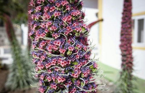 La Casita de Coco Tejeda - Foto 8