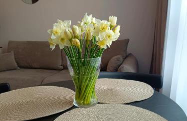 NOWY Apartament Bitwy Warszawskiej - Foto 7