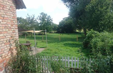 Kummerower See - Foto 7