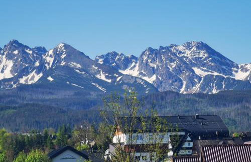 Apartament Górski Potok Murzasichle Apartamenty Murzasichle PL - Foto 4