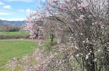 Casa Can Boix - Foto 35