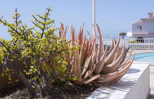 Casa Mia Monte León - Foto 80