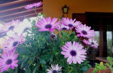 Un balcone sul mare - Foto 8