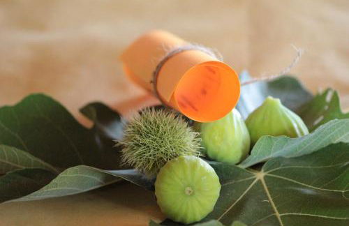 Agriturismo La Valle del Vento Urbino - Foto 50