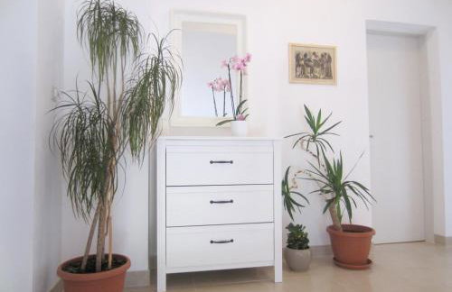 House Silvana - apartment with garden view - Photo 15