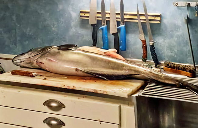 9 Person Holiday Home in Kortgarden - Foto 4