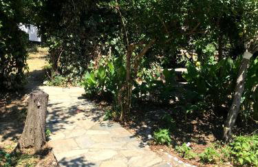 Villa Elli - Foto 13