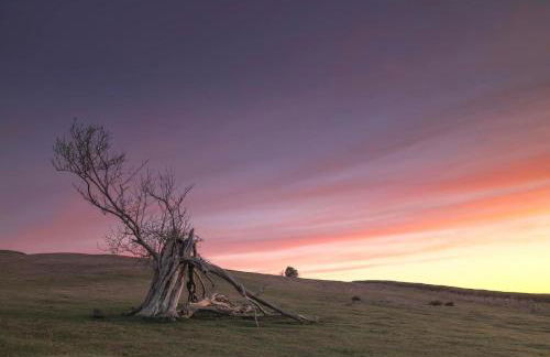 Little Cottage of the Beacons - Foto 31