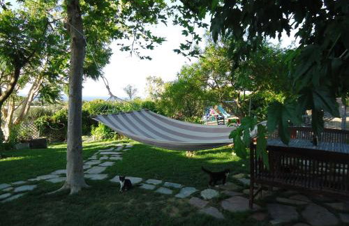 Alexandra Homestay - Foto 69