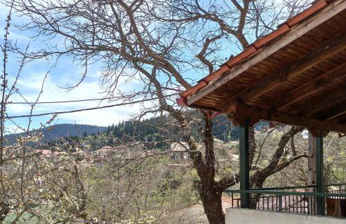 ΕΞΟΧΙΚΟ ΜΑΡΙΑ - Foto 13