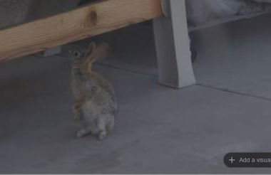 Mansion on the Hill let 4 Rooms, 5th cost extra - Foto 73