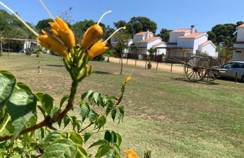 Villas Empúries, Garden & Private Pool - Foto 43