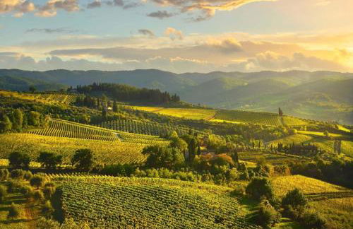 "Casa del Borgo" charming flat at 30 min from Florence, 2 Smart TV - Foto 27