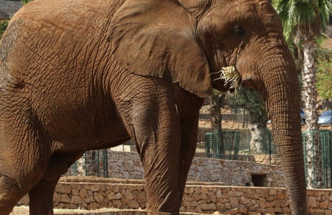 NA Volte Trulli e Quiete - Foto 55