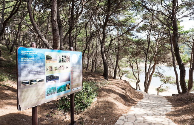 Apartments Limuni - Foto 62