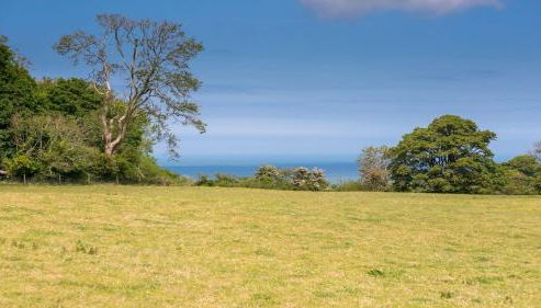 The Fancy House - Foto 4