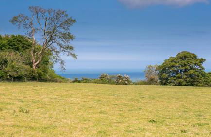 The Fancy House - Foto 4