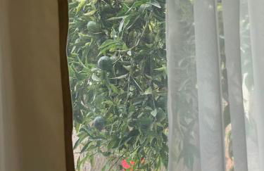 Peculiar Garden Apartment - Photo 6