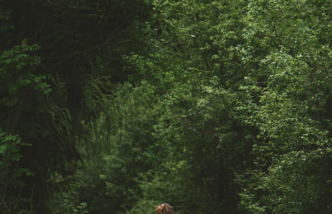 Collis Hill - Foto 10