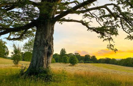 MotoCamp Wales -Camping Pods - Foto 9