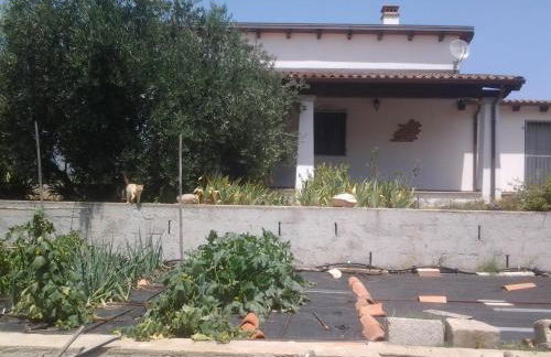 Casa Corofulu Oliena - IUN P2139 - Foto 26