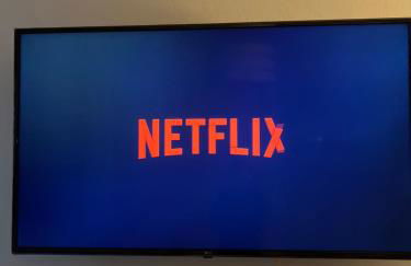 Teps home Airport Venice - Photo 12