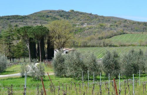 Agriturismo Barcavecchia - Foto 8