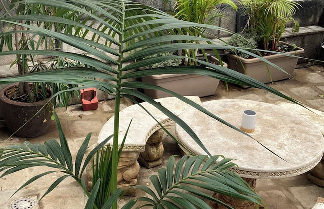 Gato Azul Coliving - Foto 53