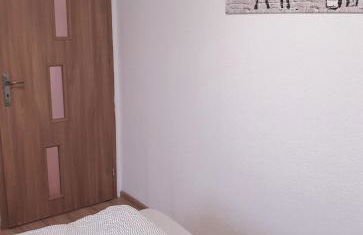 Vogelnest Riesa - Foto 17