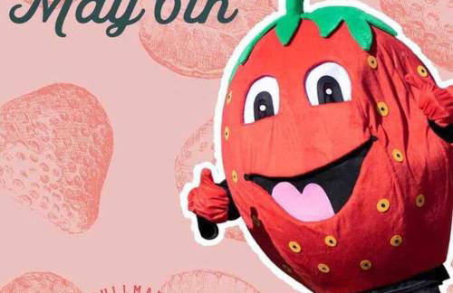 The Cullman Haus-Steps frm Cullman High-CHORE FREE - Foto 34