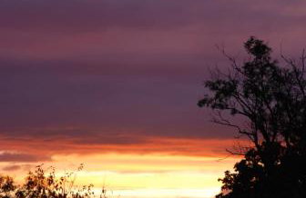 Natura Apartamenty - Foto 52