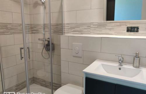 Au 157 - Locations Contrexéville - Photo 31