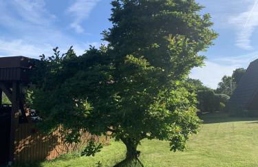 Glückshaus - Foto 26