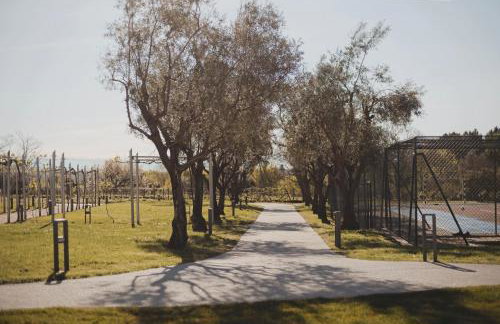 ARTS IN Country House - Foto 17