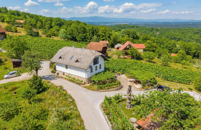 Vineyard Homestead Vrtin - Foto 54